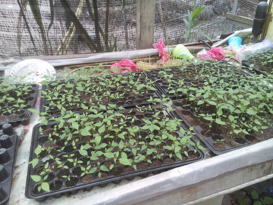 12004901_954832254582016_4780711608954031949_n